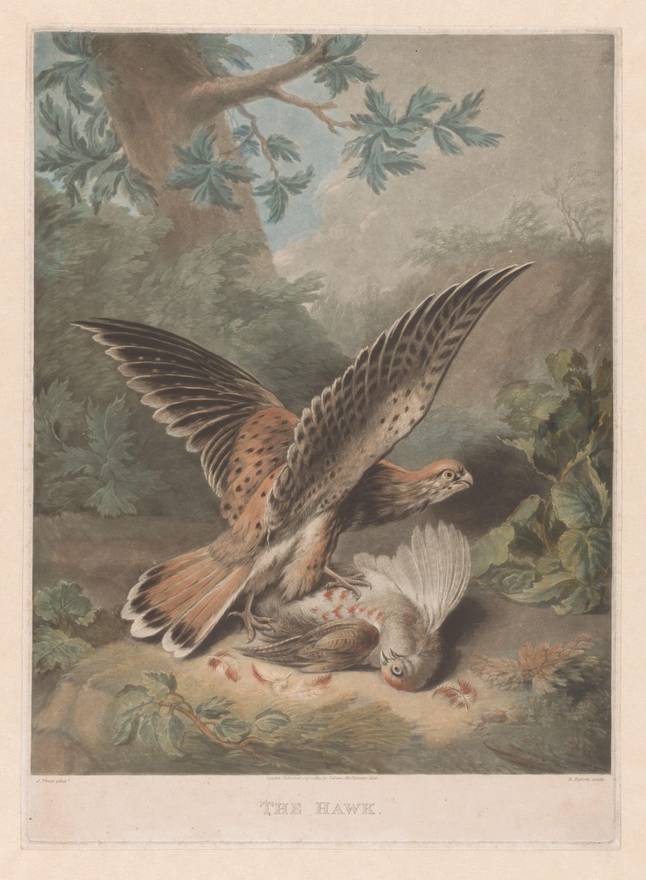 Hawk Guarding Its Prey by Richard Earlom