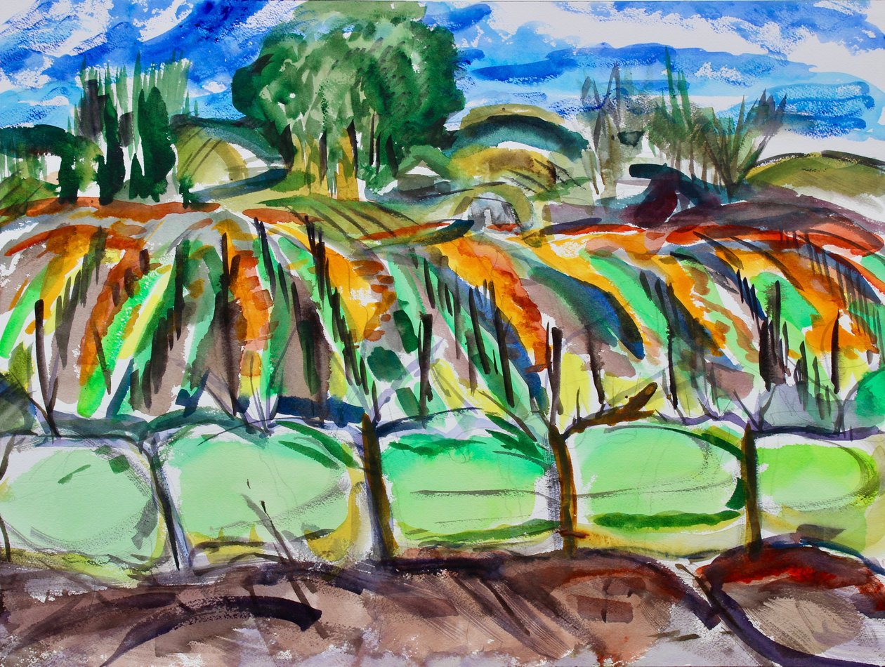 Autumn Vineyards, Napa, 2017 by Richard Fox