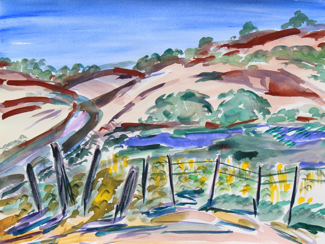 Dry Hills, Northern California by Richard Fox