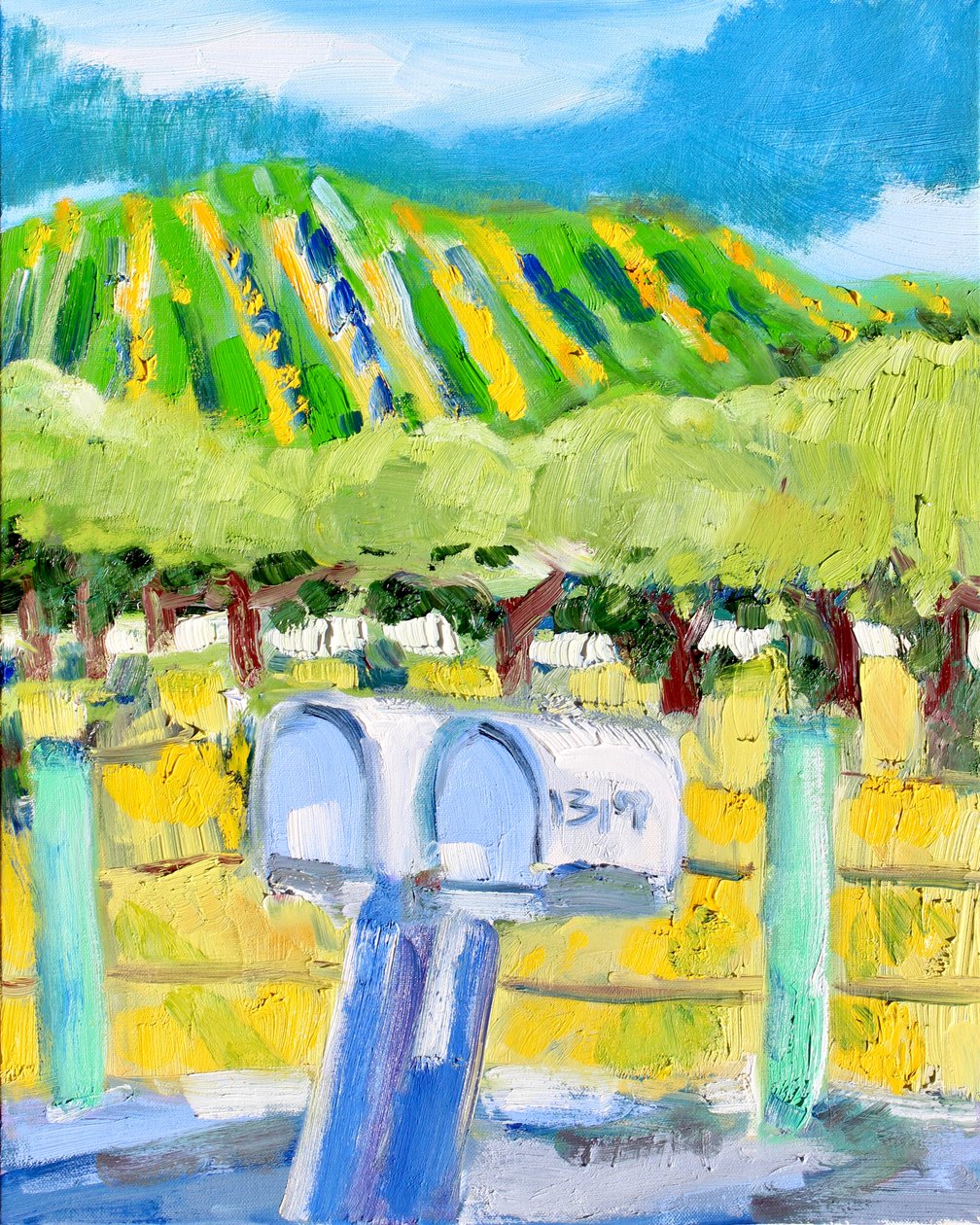 Mailboxes and Vineyard, Napa, 2019 by Richard Fox