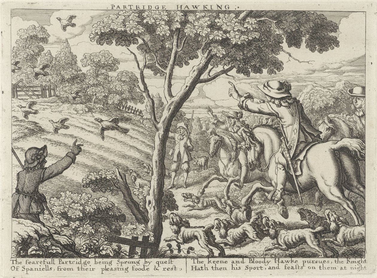 Partridge Hawking (Hunting Parties) by Richard Gaywood (possibly)