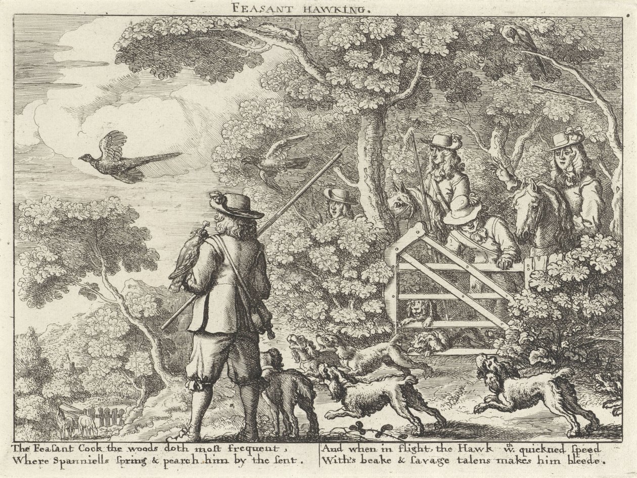 Pheasant Hawking (title on object) (series title) by Richard Gaywood (possibly)