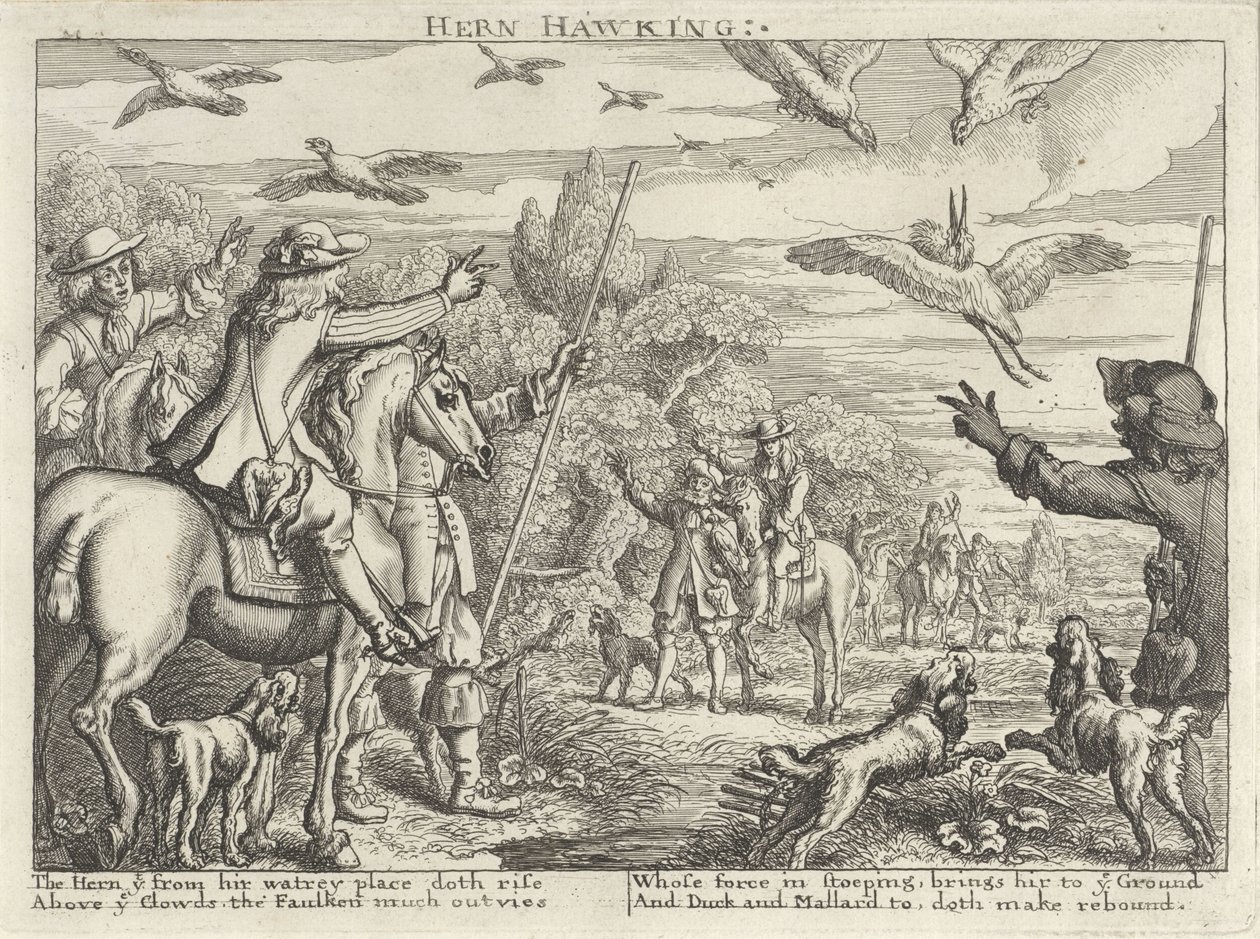 Falconry on Herons and Ducks (Hunting Parties) by Richard Gaywood (possibly)