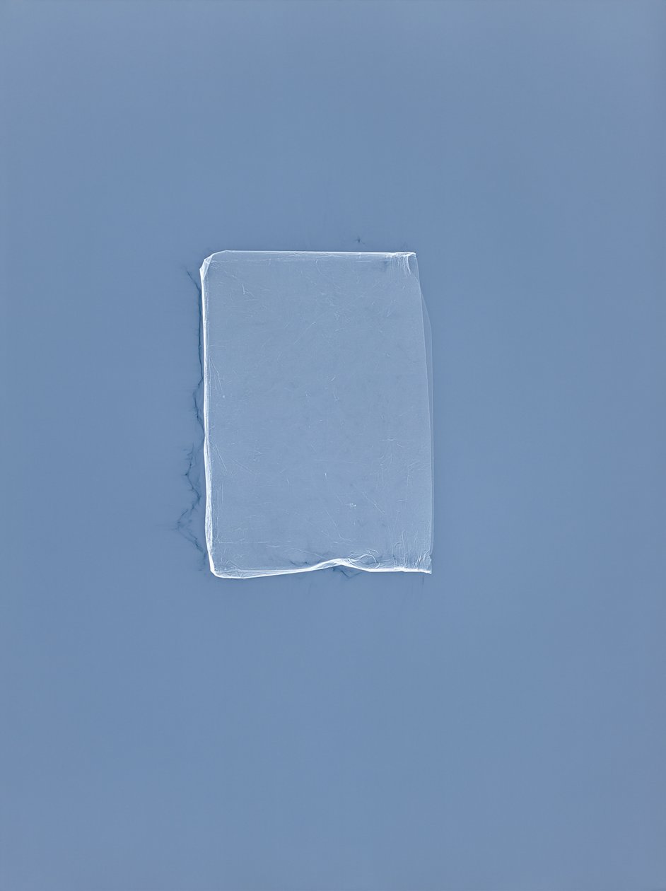 Untitled, 2001 by Richard Green