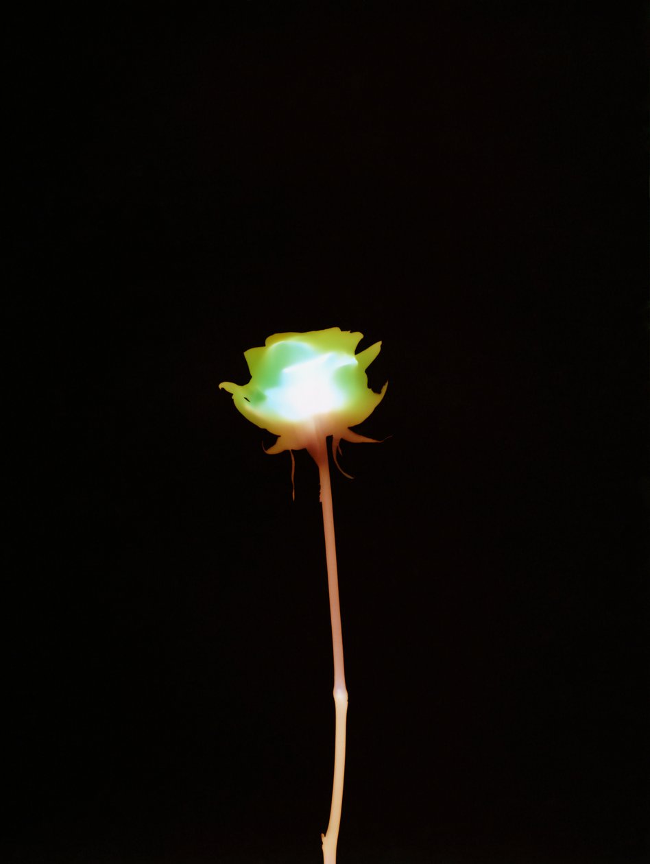 Untitled, 2007 by Richard Green