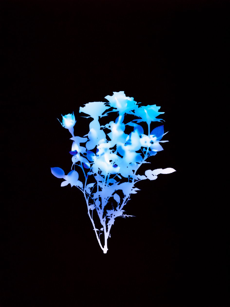 Untitled, 2008 by Richard Green