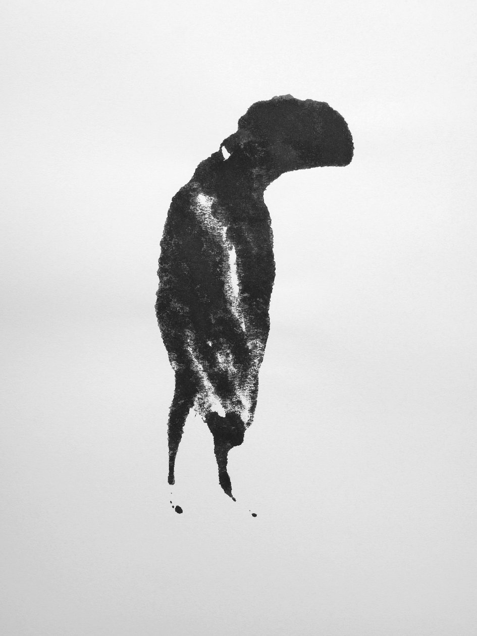 Untitled, 2009 by Richard Green