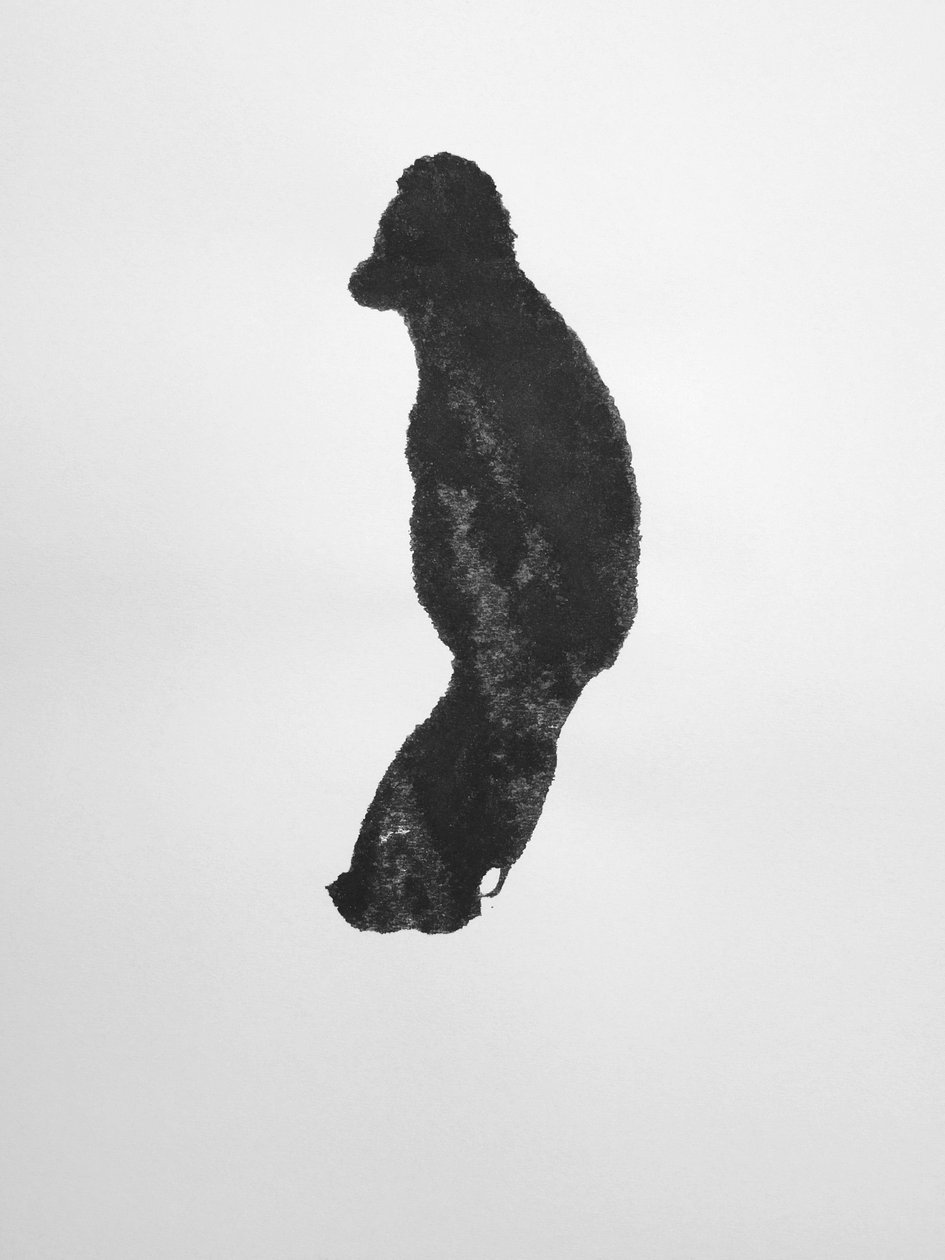 Untitled, 2009 by Richard Green