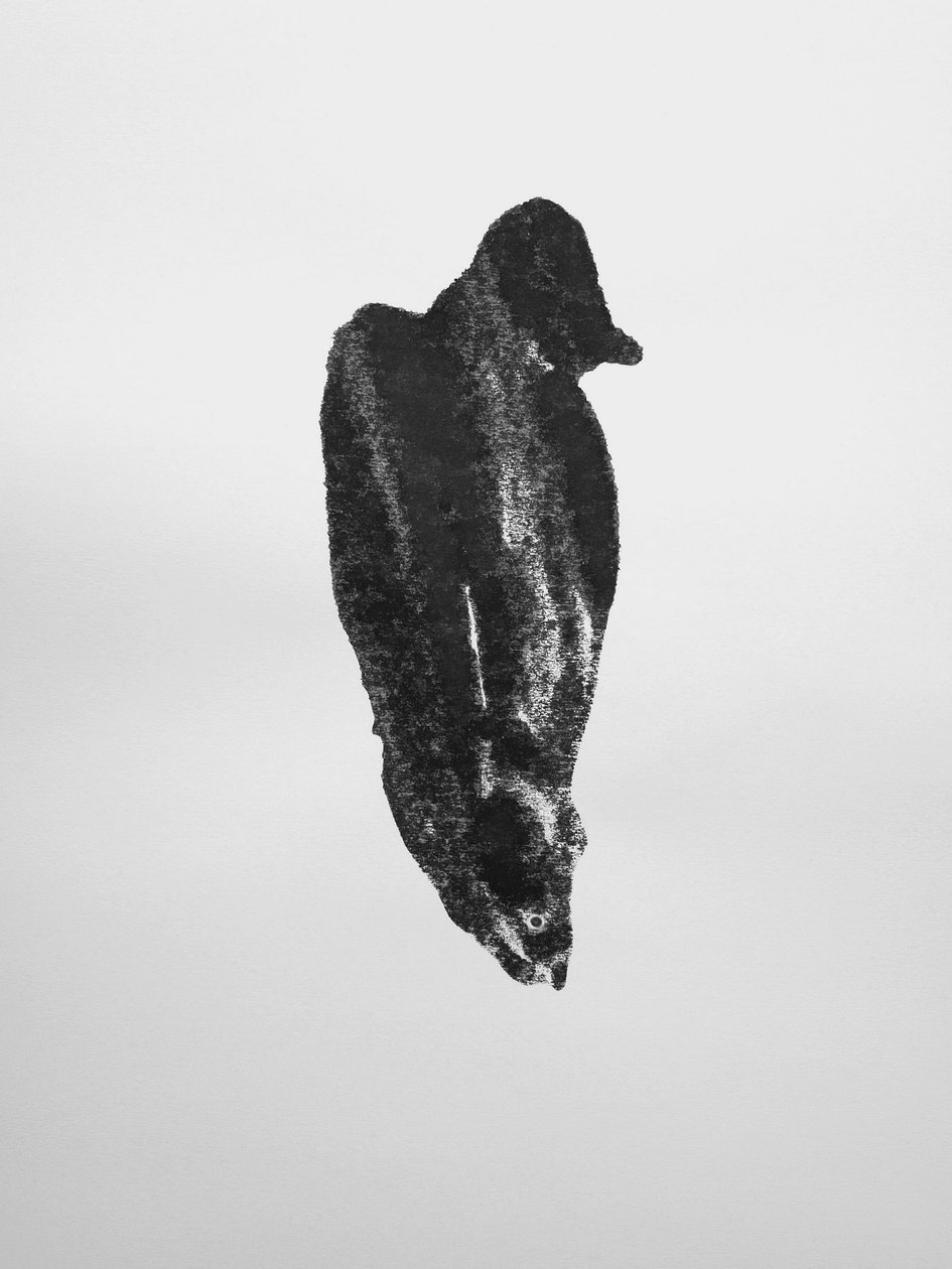 Untitled, 2009 by Richard Green