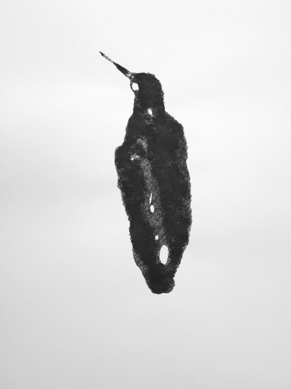Untitled, 2009 by Richard Green