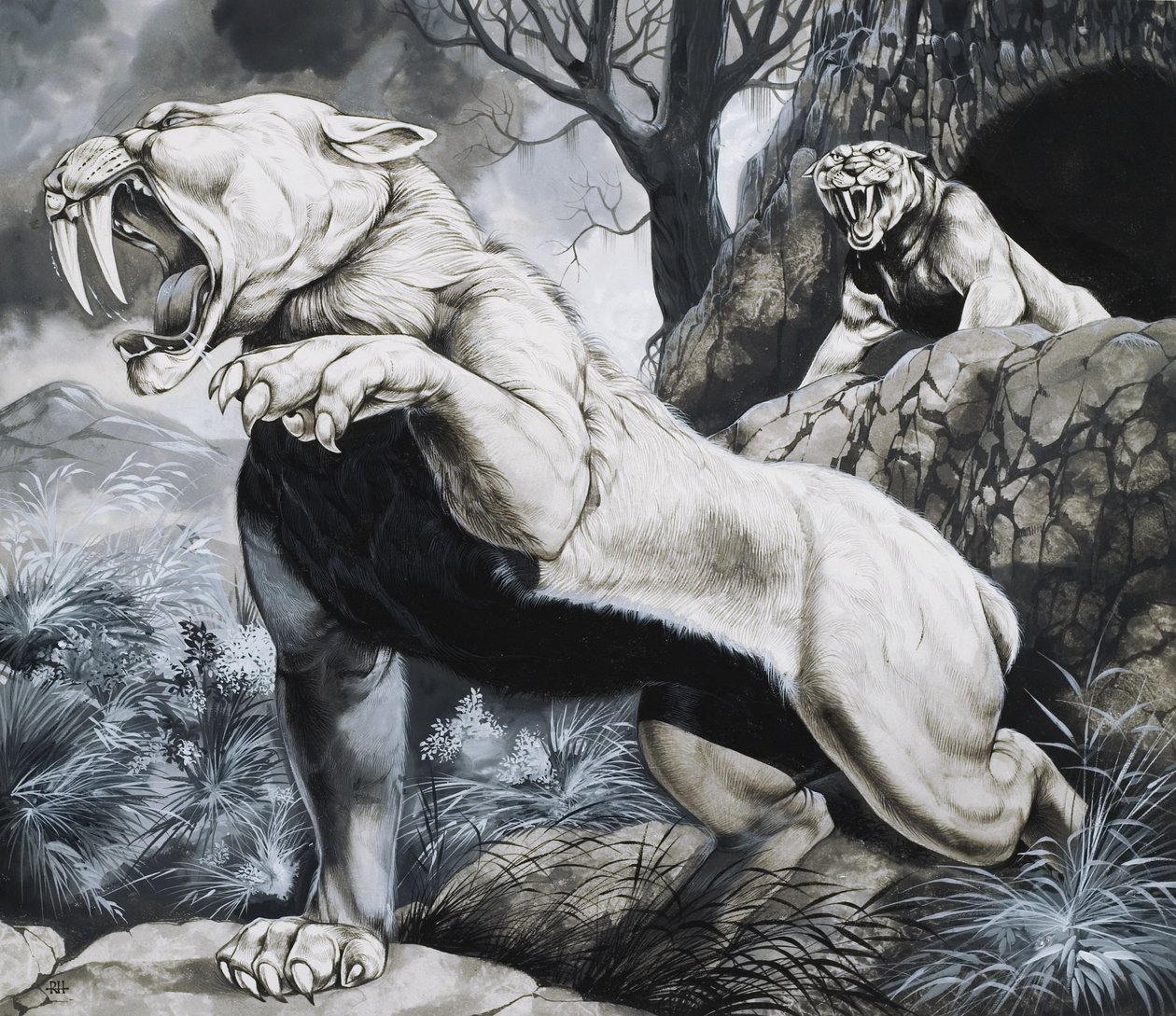 Sabre-toothed Tigers by Richard Hook