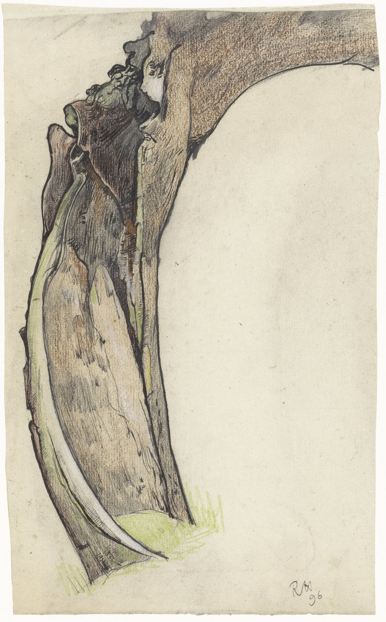 Hollow Willow by Richard Nicolaüs Roland Holst