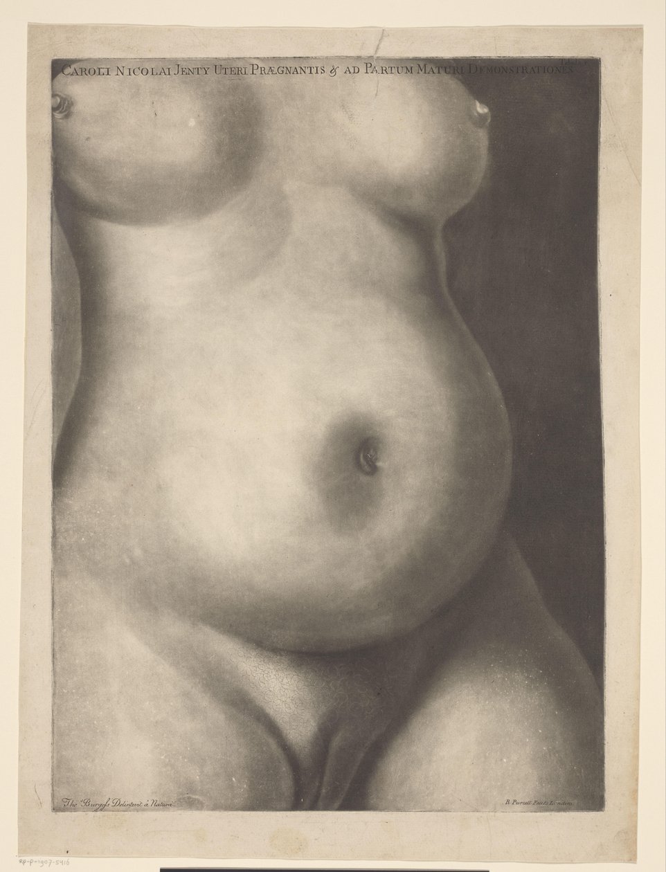 Torso of a Pregnant Woman by Richard Purcell