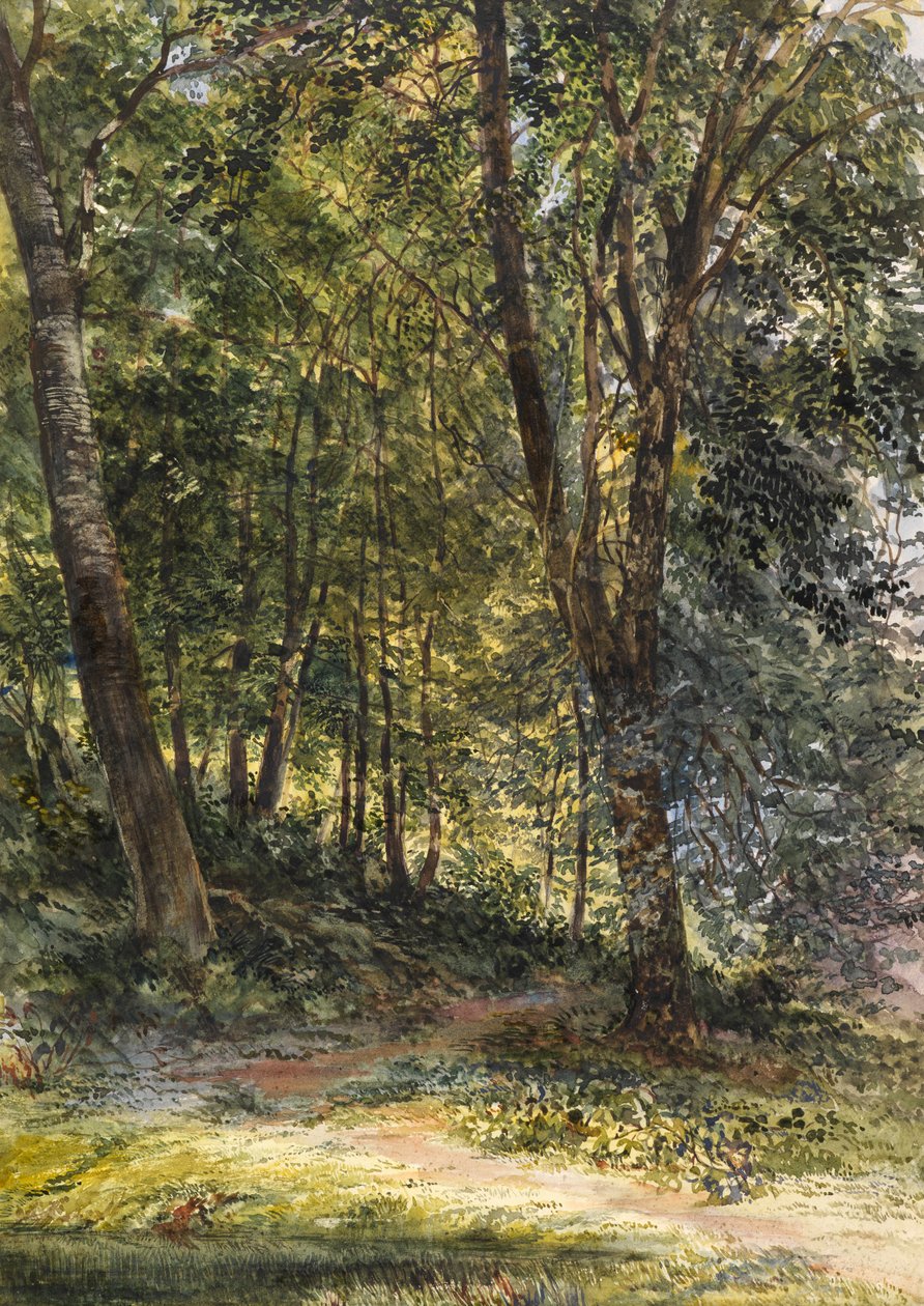 Sun Dappled Woods, Surrey by Richard Redgrave