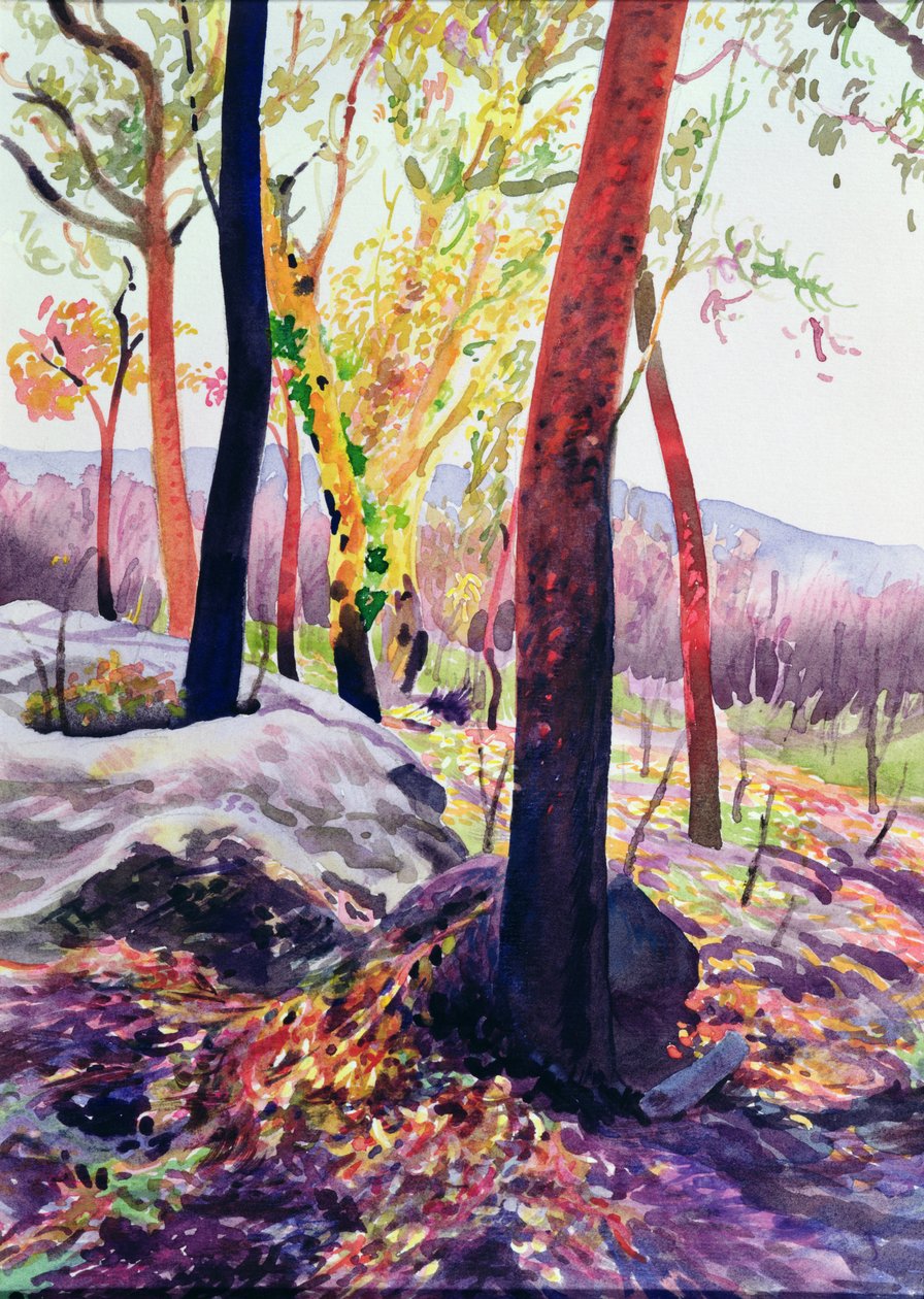 Bush Fire Survivors, Sydney by Robert Tyndall