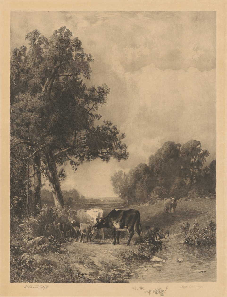 Untitled (Cows And Calves By A Stream) by Robert A. Eichelberger