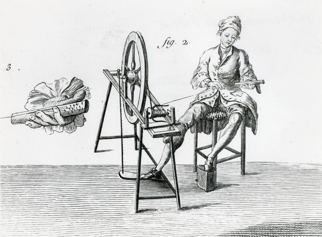 Rustic economics, cotton, from Encyclopedia by Denis Diderot by Robert Benard