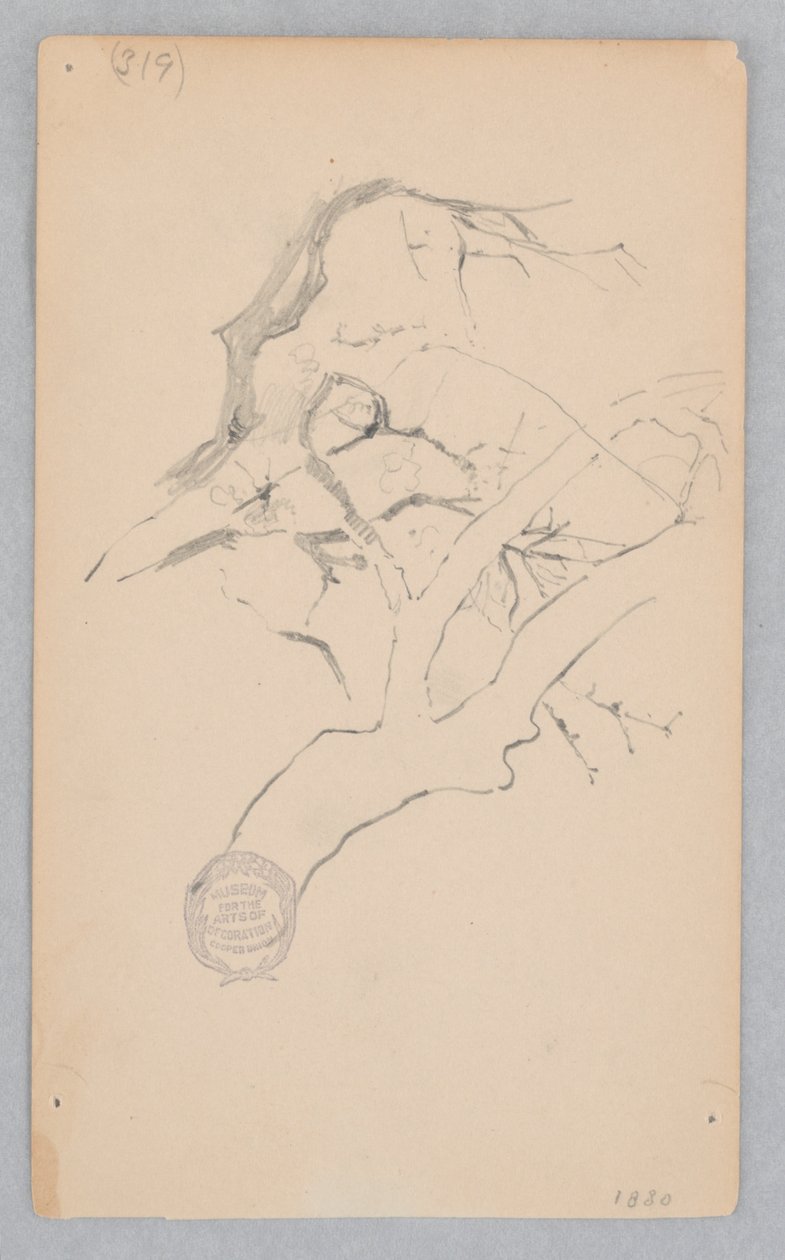 Tree Branch by Robert Frederick Blum