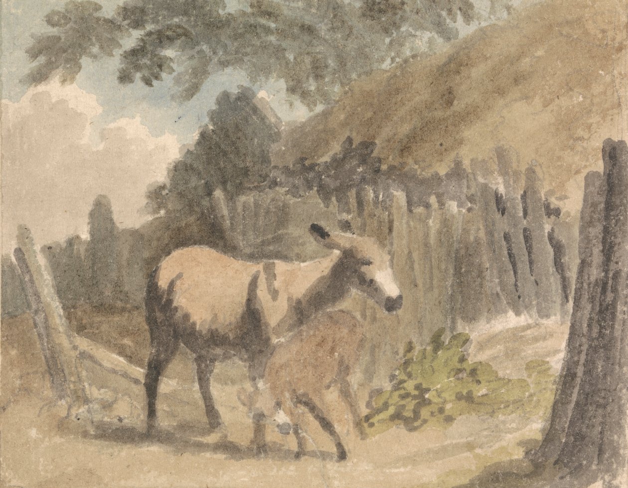 A Donkey and Foal by Robert Hills