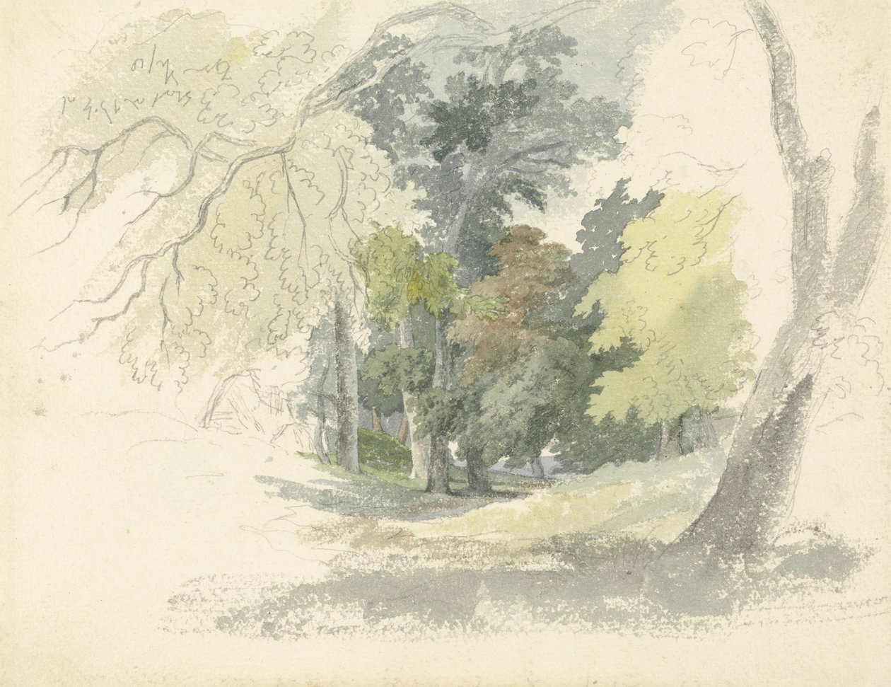 A Woodland Glade by Robert Hills