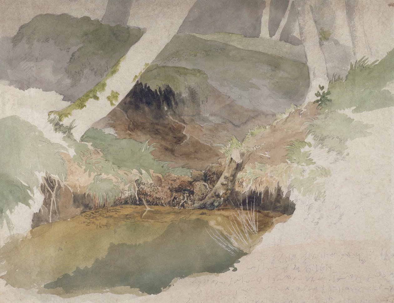 Forest Pool by Robert Hills