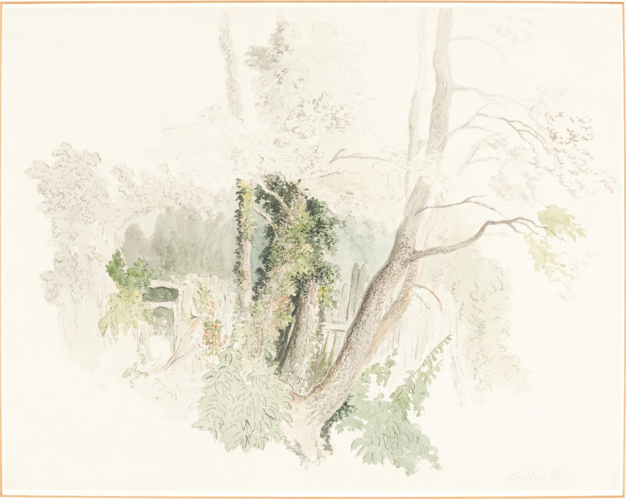 Trees at Beddington by Robert Hills