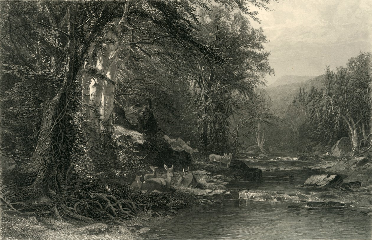 The Adirondack Woods, 1874 by Robert Hinshelwood