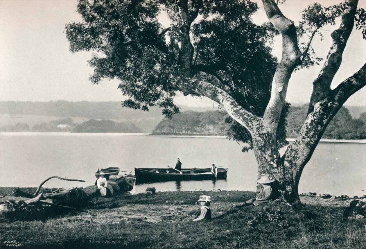 Church Island, Lough Gill, Sligo by Robert John Welch