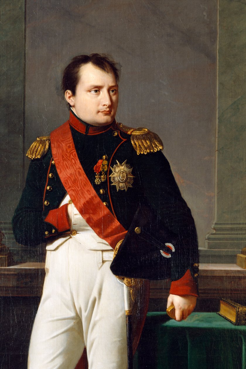 Detail (portrait of Napoleon Bonaparte) by Robert Lefevre