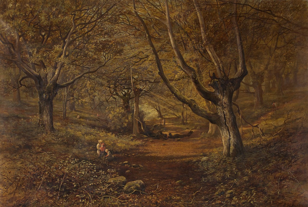 Nightingale Valley, Leigh Woods by Robert Mayes
