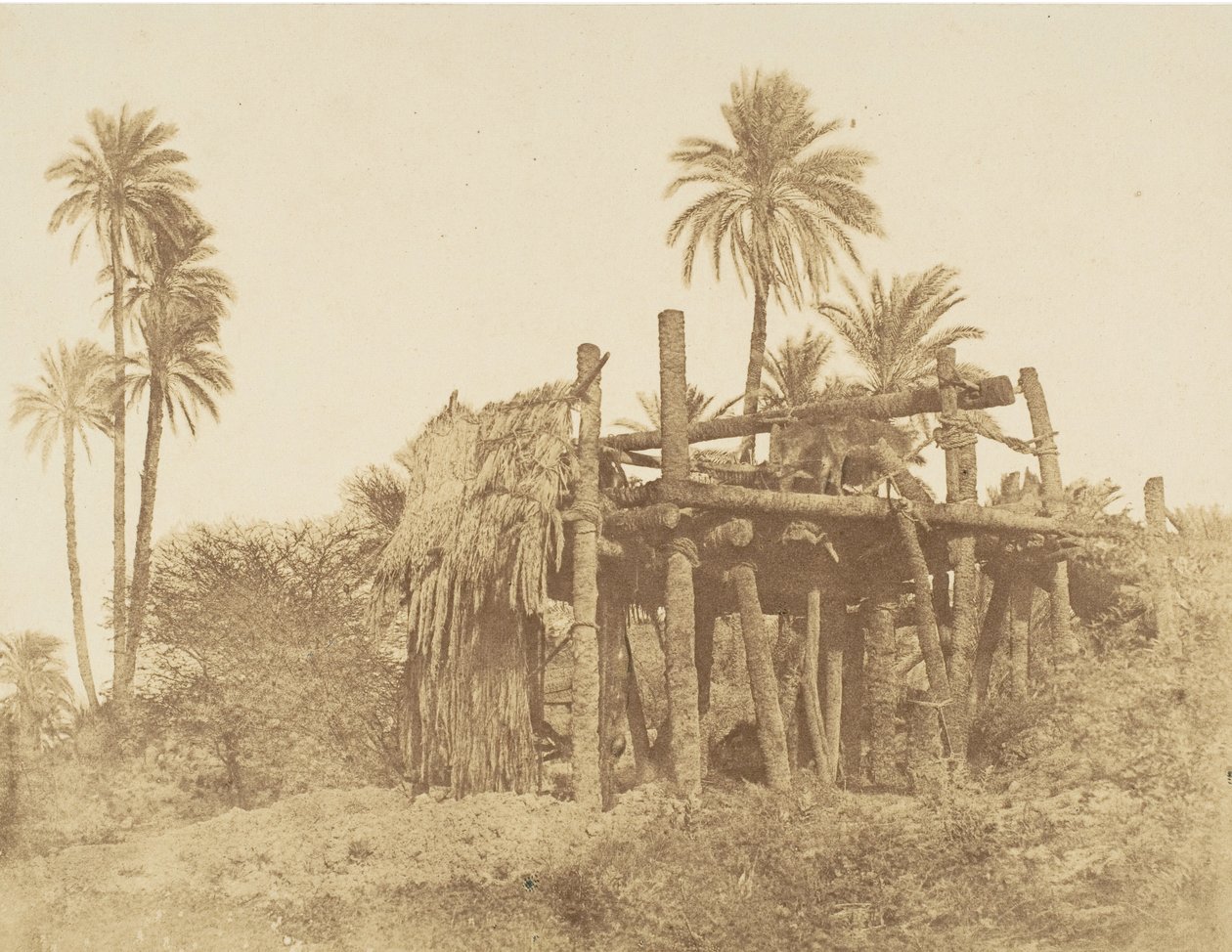 Nubian Sakkieh, or Water Wheel by Robert Murray.