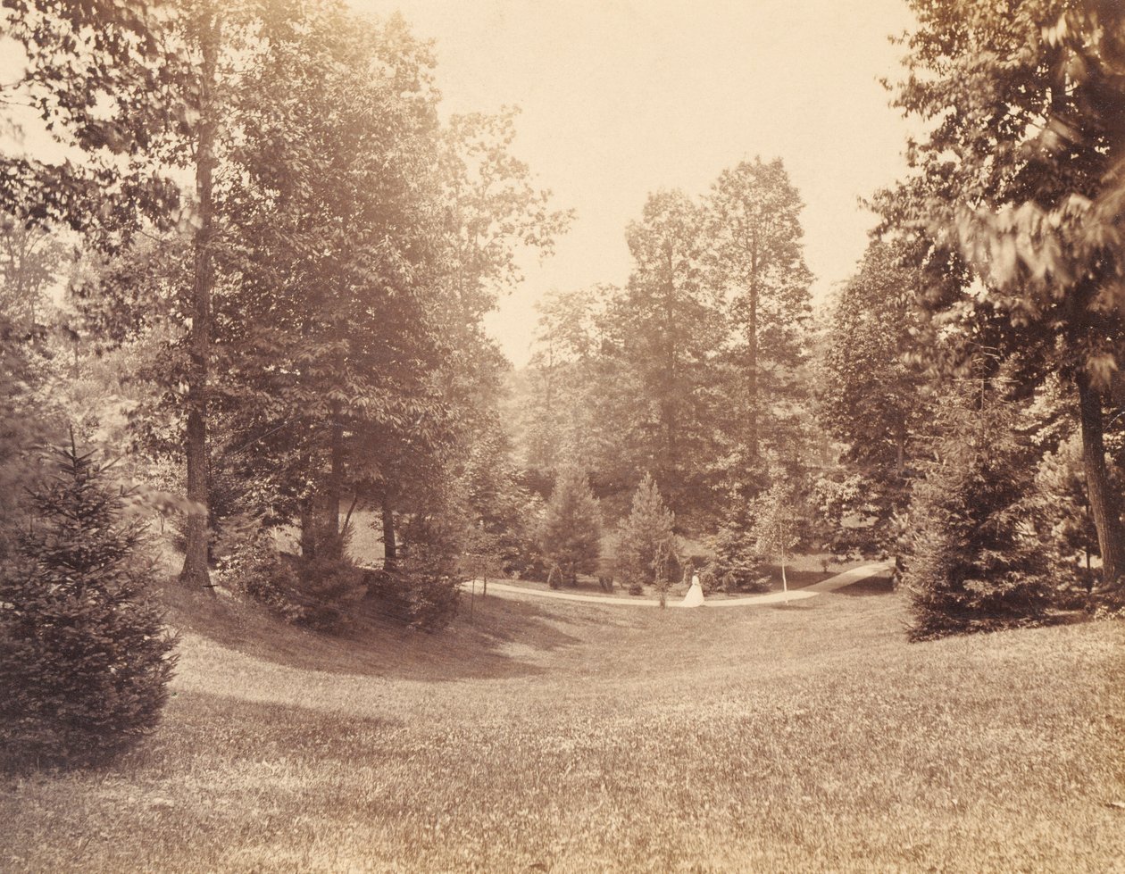 Clarence Howard Clark Estate, from the portfolio "Views at Chestnutwold" by Robert Newell