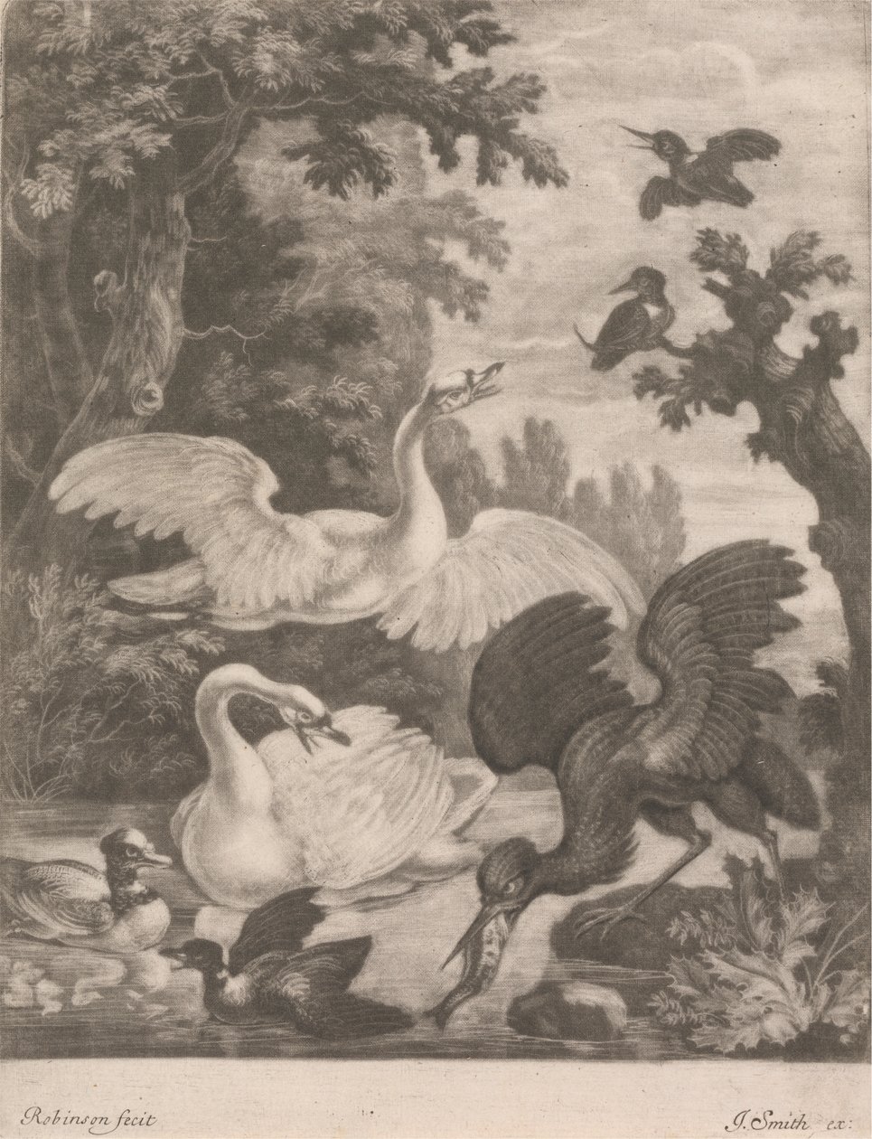 Waterfowl by Robert Robinson