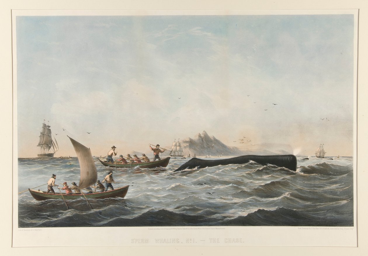 Sperm Whaling, No. 1 The Case by Robert Swain Gifford