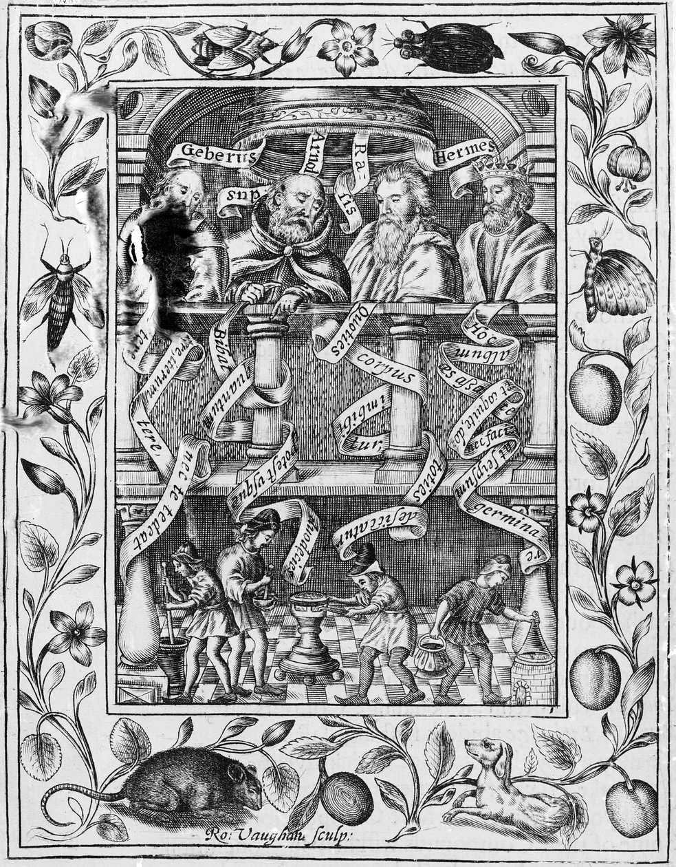 Great alchemists inspire work in the laboratory from Theatrum Chemicum Britannicum by Robert Vaughan