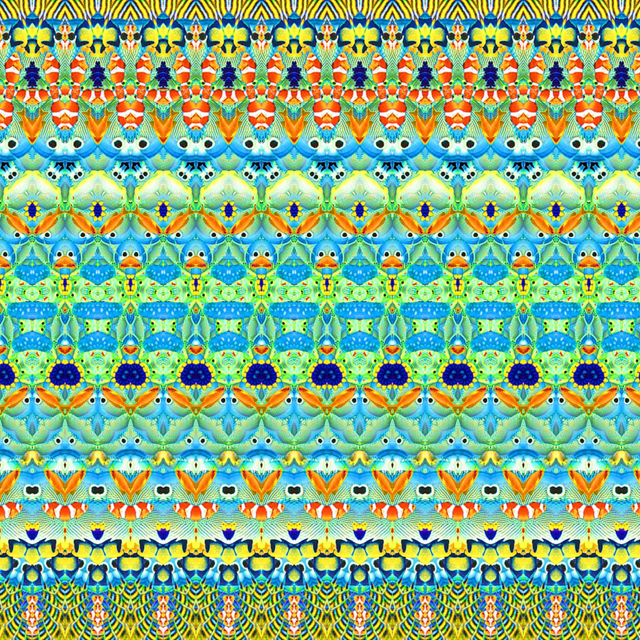 Tropical Fish Stripe by Robyn Parker