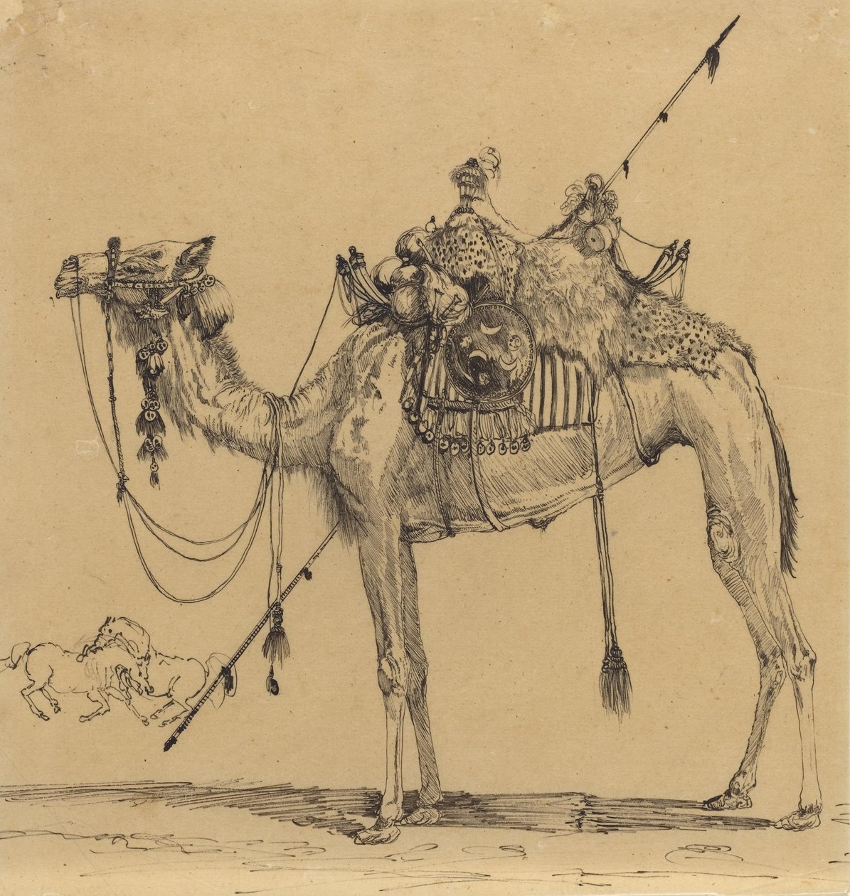 The Camel by Rodolphe Bresdin