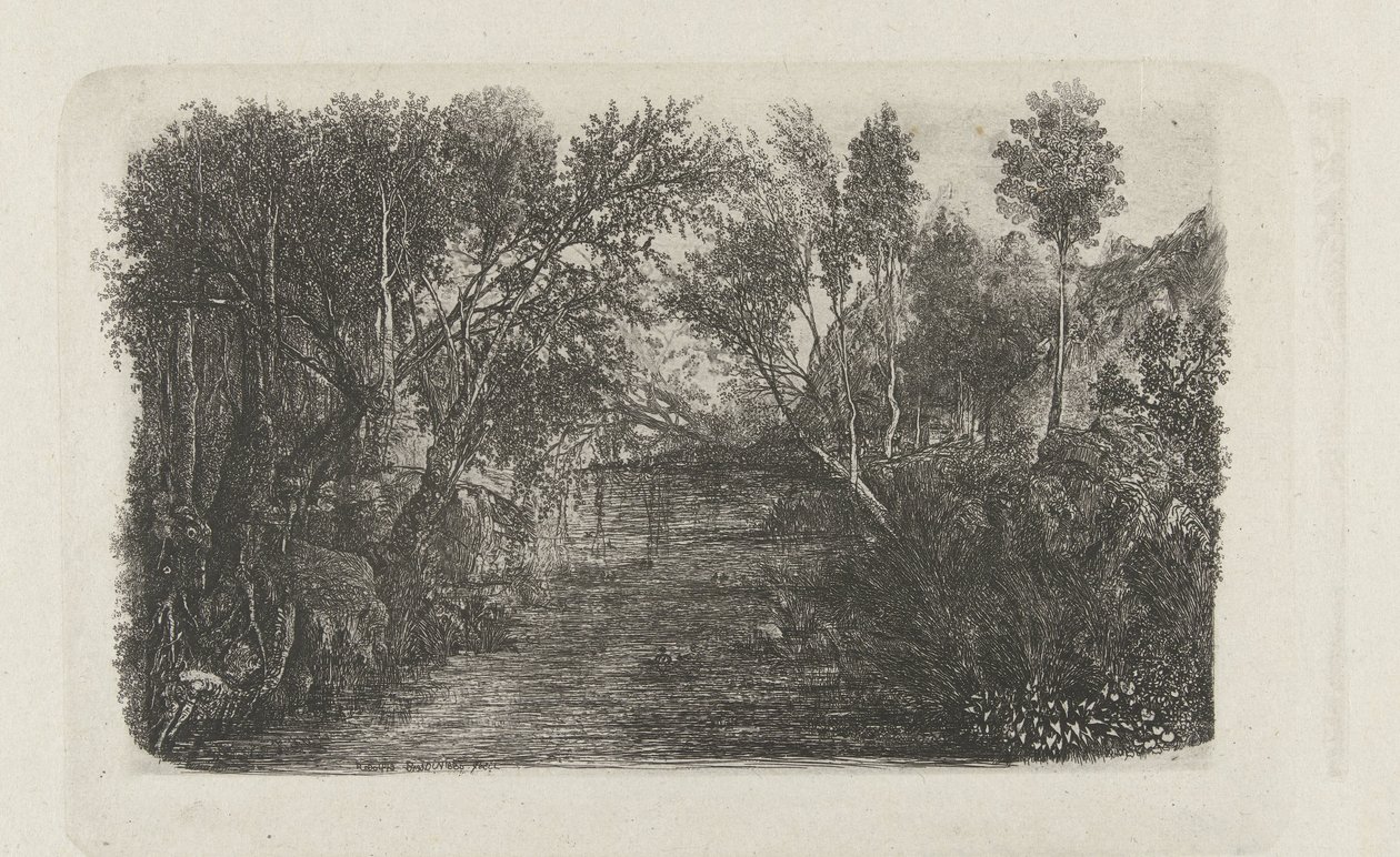 Landscape with Stream and Trees on Banks by Rodolphe Bresdin