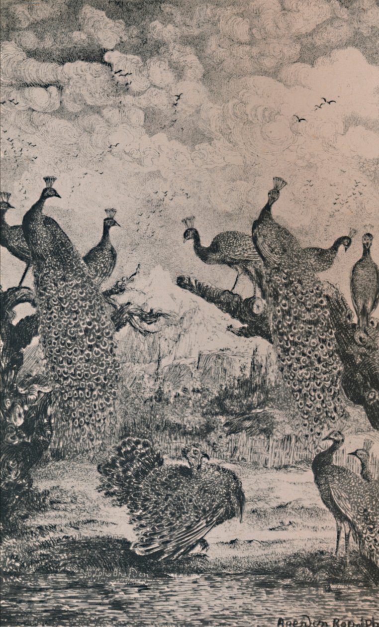The Peacocks, 1869, 1946 by Rodolphe Bresdin