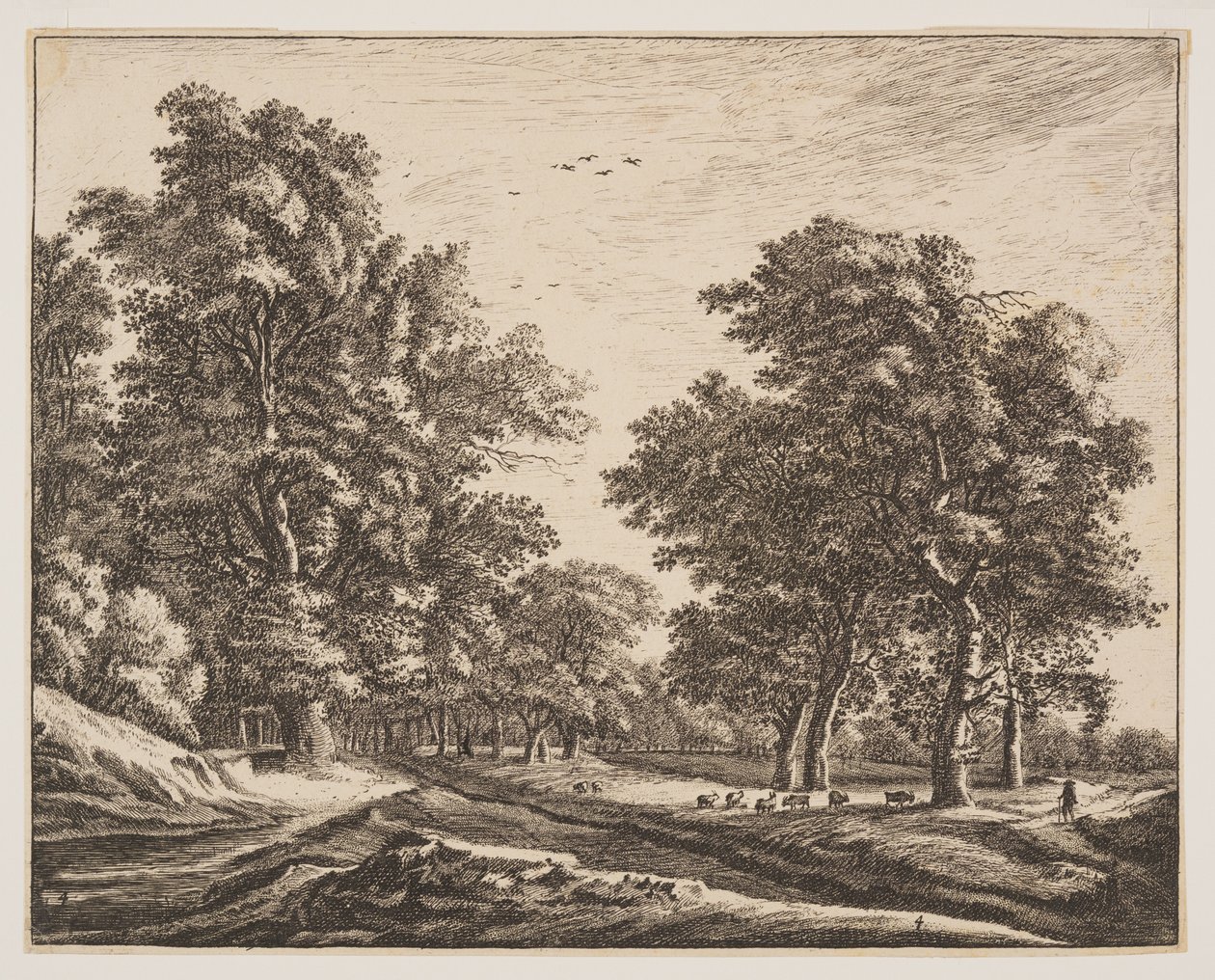 No. 4, from Six Views in the Wood of The Hague by Roelant Roghman