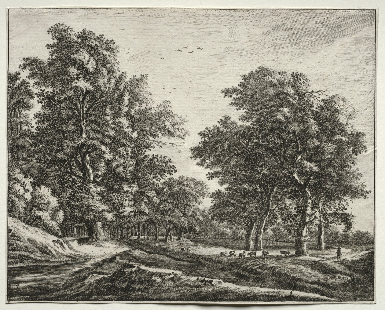 Six views in the Wood of the Hague: Plate 4, Goats Under the Trees by Roelant Roghman