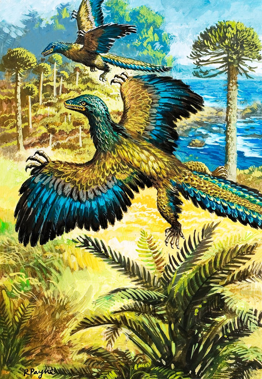 Archaeopteryx by Roger Payne