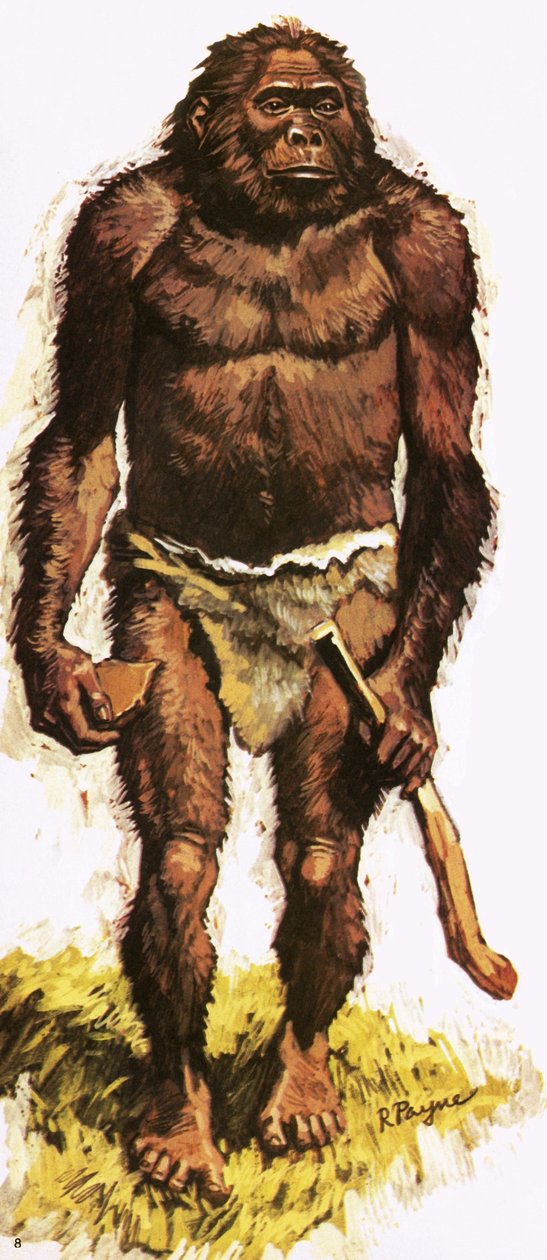 Pre-historic Man by Roger Payne