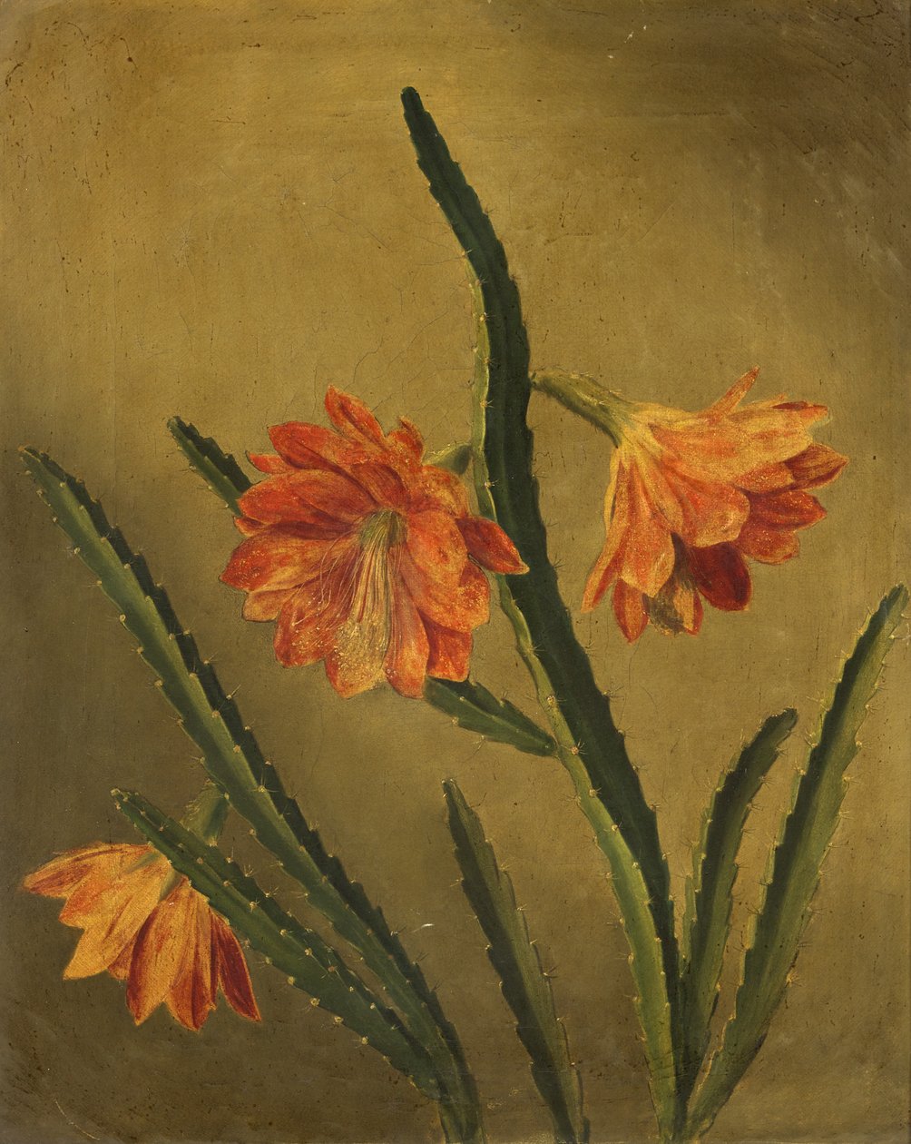 Study of Flowers by Rolinda Sharples