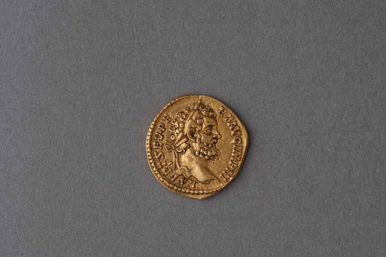 Aureus of Septimus Severus by Roman: Buy fine art prints