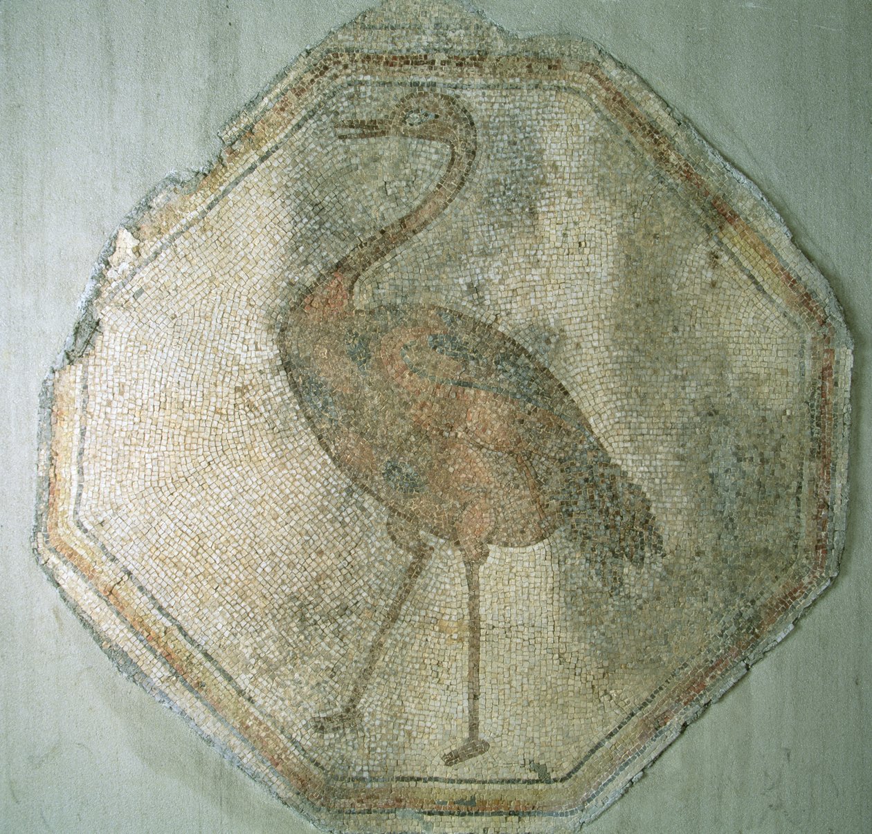 Mosaic depicting an ostrich, from Salkim, Turkey by Roman