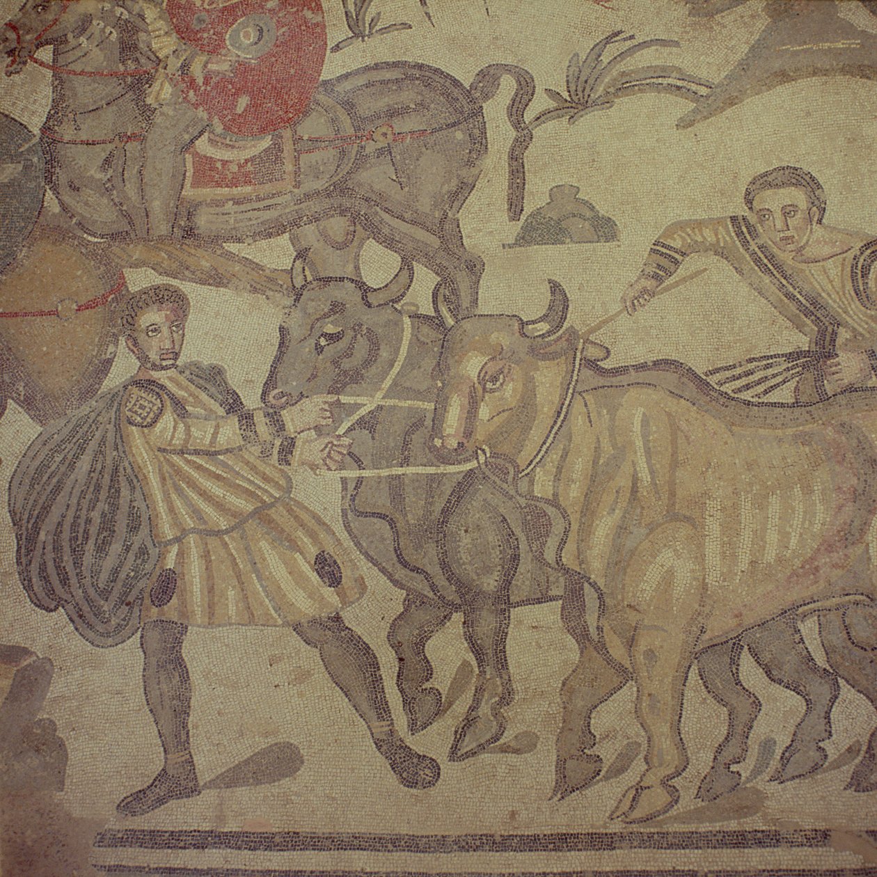 Oxen transporting water, Roman mosaic, early 4th century by Roman