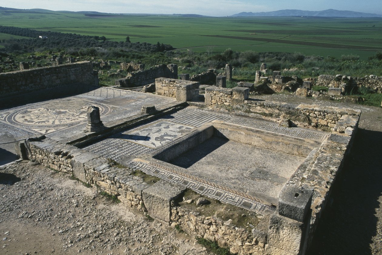 Pavement of a Patrician House by Roman