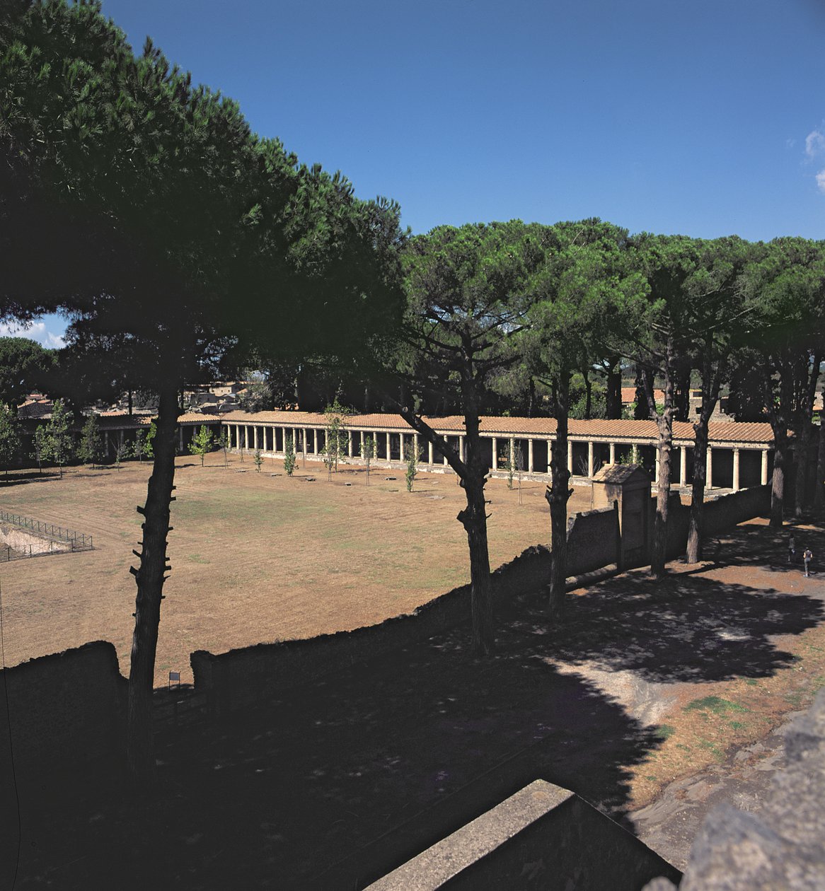 The Great Palaestra by Roman