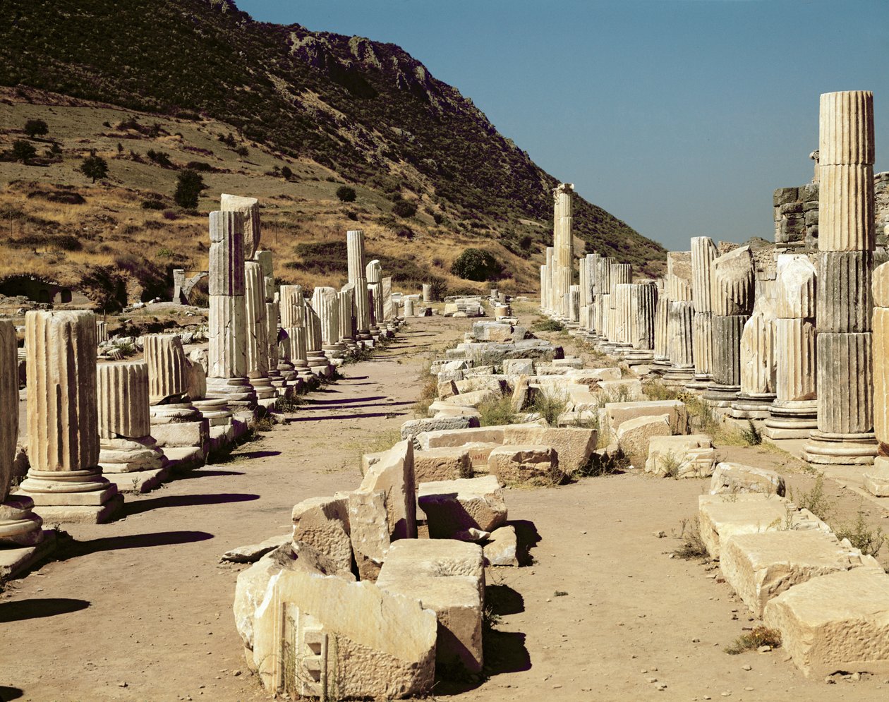 View of the Columns on the Upper Market Agora by Roman